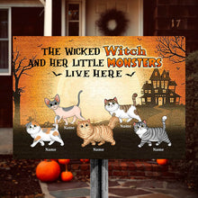 Halloween Wicked Witch And Walking Fluffy Cats Live Here Personalized Custom Classic Metal Signs