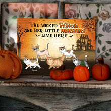 Halloween Wicked Witch And Walking Fluffy Cats Live Here Personalized Custom Classic Metal Signs