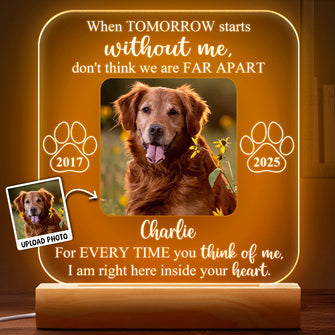 Custom Pet Photo When Tomorrow Without You - Customized Personalized 3D LED Light - Gift For Memorial Dog Family Loss Gift