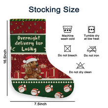 Overnight Delivery For Lucky Christmas Dog - Christmas Gifts For Dog Lovers Personalized Custom Stocking