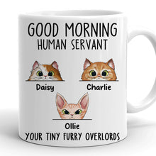 Goodmorning Human - Customized Personalized Mug - Funny Gift For Cat Pet Lover Cat Mom Cat Dad