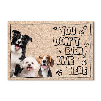 Custom Photo You Don't Even Live Here -  Customized Personality Doormat - Gift For Pet Dog Cat Lover