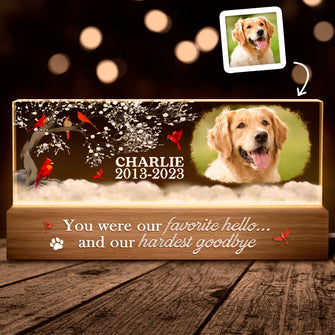 You Were My Favorite Hello And My Hardest Goodbye -  Customized Personalized Acrylic LED Night Light - Gifts For Dog lovers