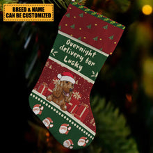 Overnight Delivery For Lucky Christmas Dog - Christmas Gifts For Dog Lovers Personalized Custom Stocking