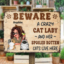 Beware A Crazy Pet Lady - Personalized Classic Metal Signs - Gift For Pet Lovers