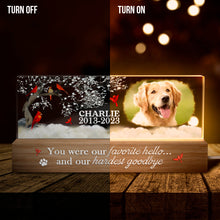 You Were My Favorite Hello And My Hardest Goodbye -  Customized Personalized Acrylic LED Night Light - Gifts For Dog lovers