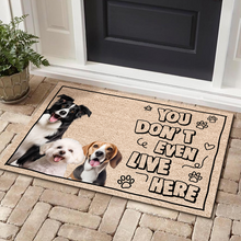 Custom Photo You Don't Even Live Here -  Customized Personality Doormat - Gift For Pet Dog Cat Lover