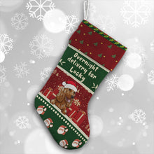 Overnight Delivery For Lucky Christmas Dog - Christmas Gifts For Dog Lovers Personalized Custom Stocking