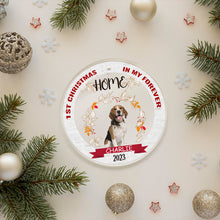 Custom Photo For My Pet Lovers Remembrance Gifts Personalized Custom Ornament Upload Image