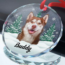 Custom Photo Snowy Pet Lover- Customized Personalized Glass Ornament - Christmas Gift For Pet Lover