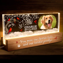 You Were My Favorite Hello And My Hardest Goodbye -  Customized Personalized Acrylic LED Night Light - Gifts For Dog lovers