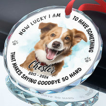 Custom Photo Of Your Cute Pet - Personalized Glass Ornament - Memorial Gift For Pet Lover