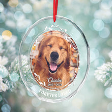 Custom Photo - Forever Loved - Customized Personalized Glass Ornament - Gift For Pet Lover Pet Mom Pet Dad