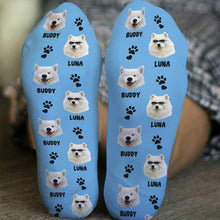 Custom Photo Lovely Pet - Pet Socks - Gifts For Pet Lovers Personalized Custom Photo Socks