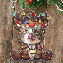 Christmas Cutie Teddy Bear Custom Face - Personalized Acrylic Ornament - Gifts For Pet Lovers, Family Members