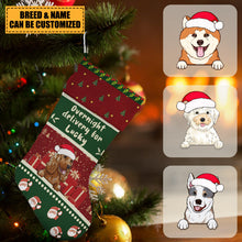 Overnight Delivery For Lucky Christmas Dog - Christmas Gifts For Dog Lovers Personalized Custom Stocking