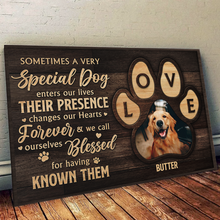 Sometimes A Very Special Dog Enters Your Life - Personalized Customized Canvas - Gift For Pet Lovers, Dog Lovers