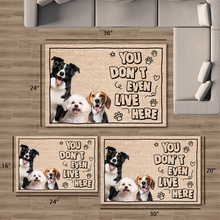 Custom Photo You Don't Even Live Here -  Customized Personality Doormat - Gift For Pet Dog Cat Lover