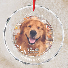 Custom Photo - Forever Loved - Customized Personalized Glass Ornament - Gift For Pet Lover Pet Mom Pet Dad