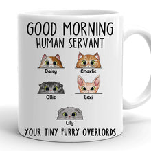 Goodmorning Human - Customized Personalized Mug - Funny Gift For Cat Pet Lover Cat Mom Cat Dad