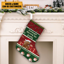 Overnight Delivery For Lucky Christmas Dog - Christmas Gifts For Dog Lovers Personalized Custom Stocking