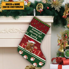 Overnight Delivery For Lucky Christmas Dog - Christmas Gifts For Dog Lovers Personalized Custom Stocking