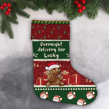 Overnight Delivery For Lucky Christmas Dog - Christmas Gifts For Dog Lovers Personalized Custom Stocking