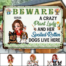 A Crazy Plant Lady & Her Spoiled Dogs - Gift For Gardening Lovers - Personalized Classic Metal Signs