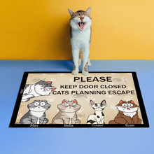 Please Keep Door Closed Cats Planning Escape - Custom Doormat Gifts For Cat Lovers