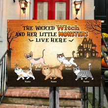 Halloween Wicked Witch And Walking Fluffy Cats Live Here Personalized Custom Classic Metal Signs